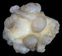 Natural Chalcedony Nodules Wholesale Lot - Pieces #61822-1